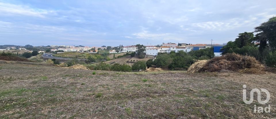 Terrain à Mafra de 10 937 m²