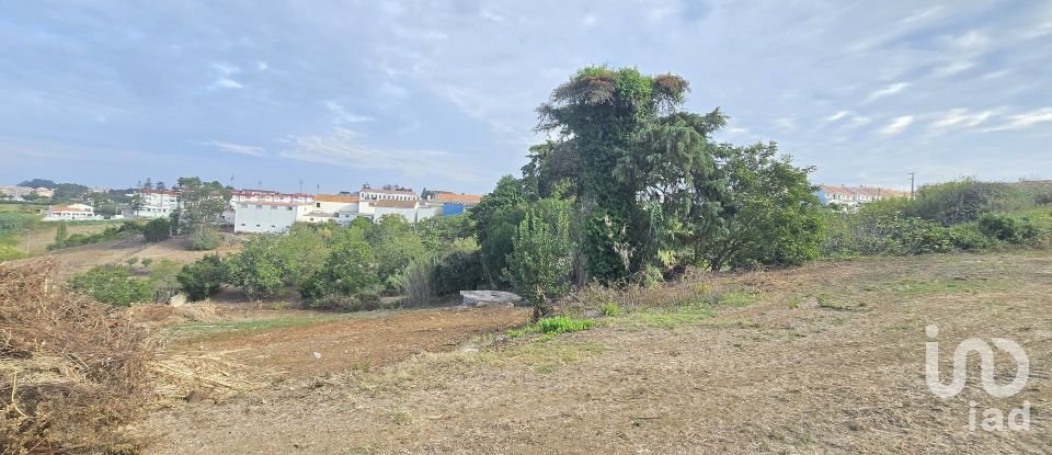 Terrain à Mafra de 10 937 m²