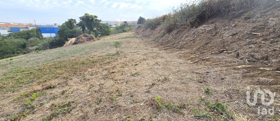 Terrain à Mafra de 10 937 m²