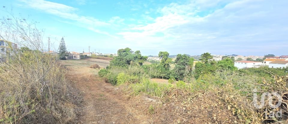 Land in Mafra of 10,937 m²