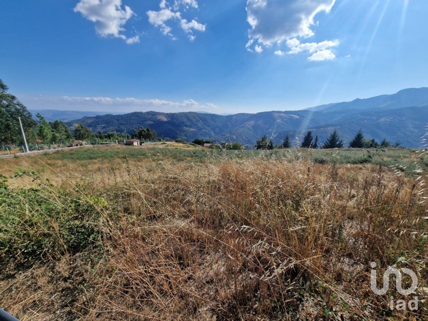 Terrain à Torgueda de 8 264 m²