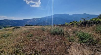 Terrain à Torgueda de 8 264 m²