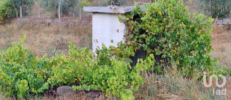 Terreno em Sertã de 1 800 m²