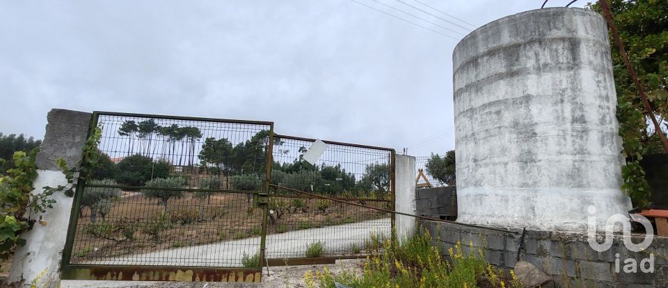 Terrain à Sertã de 1 800 m²