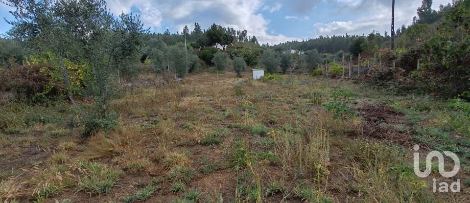 Land in Sertã of 1,800 m²