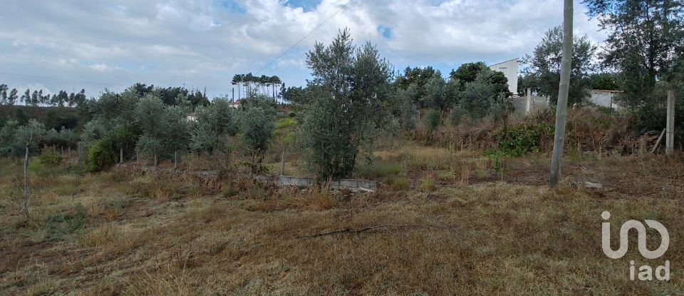 Land in Sertã of 1,800 m²