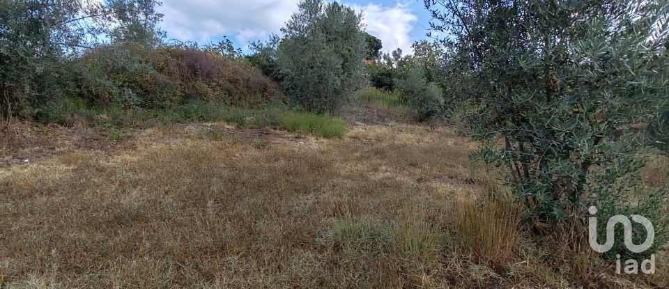 Land in Sertã of 1,800 m²