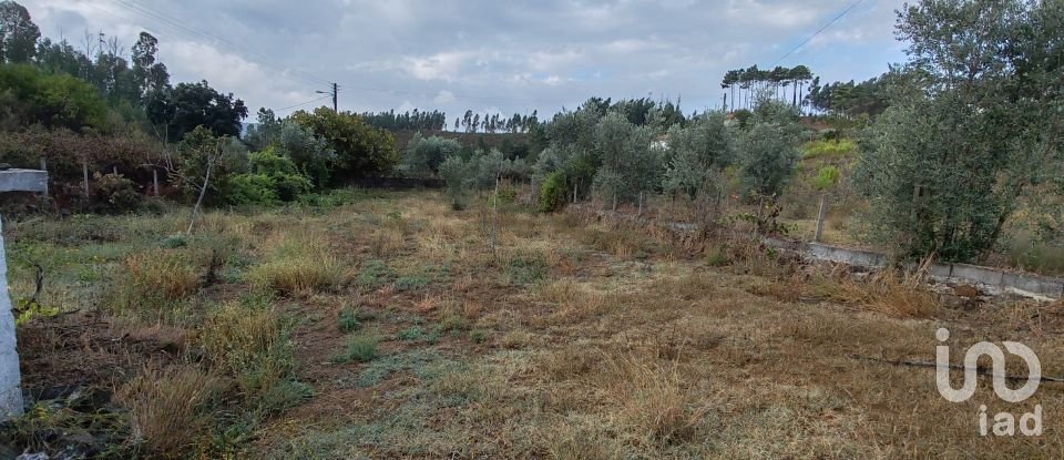 Terreno em Sertã de 1 800 m²