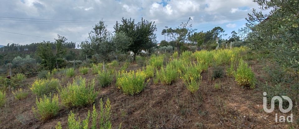 Terrain à Sertã de 1 800 m²