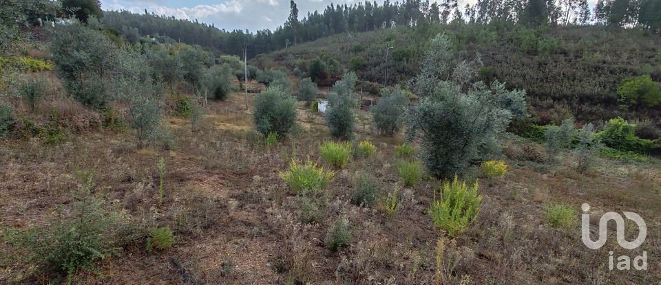 Terrain à Sertã de 1 800 m²