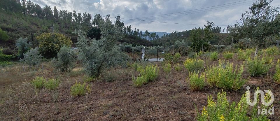 Terrain à Sertã de 1 800 m²