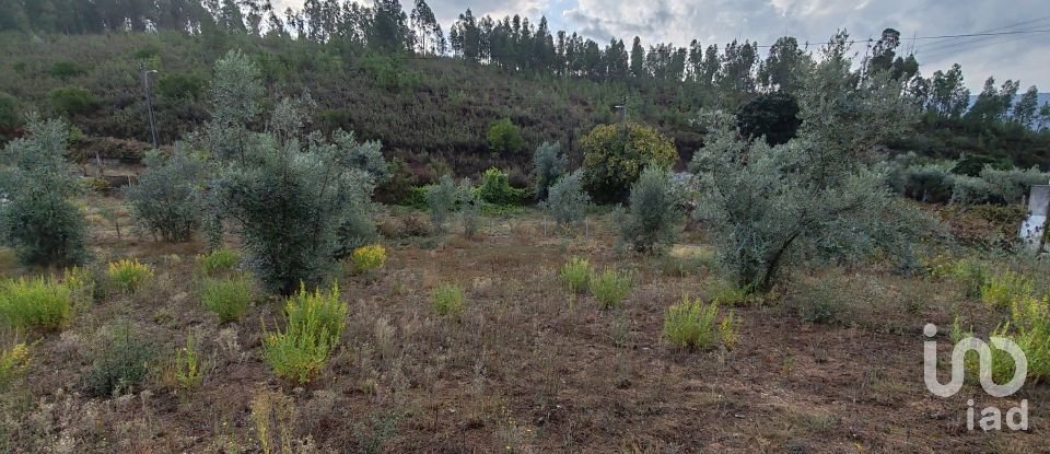 Terreno em Sertã de 1 800 m²