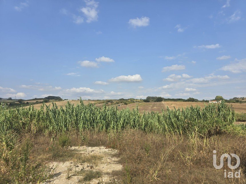 Terreno em Aldeia Galega da Merceana e Aldeia Gavinha de 522 m²