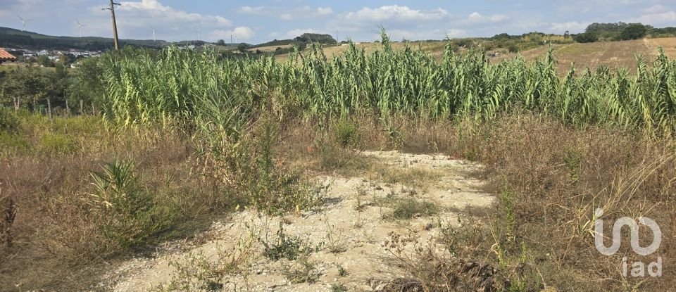 Terreno em Aldeia Galega da Merceana e Aldeia Gavinha de 522 m²