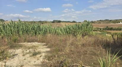 Terreno em Aldeia Galega da Merceana e Aldeia Gavinha de 522 m²