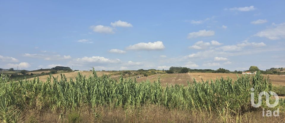 Terreno em Aldeia Galega da Merceana e Aldeia Gavinha de 522 m²