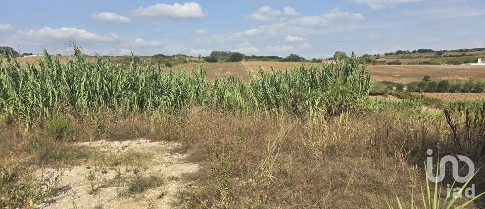 Terreno em Aldeia Galega da Merceana e Aldeia Gavinha de 522 m²