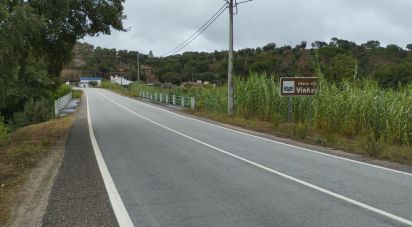 Terreno em Galveias de 100 750 m²