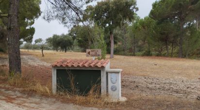 Terrain à Galveias de 100 750 m²