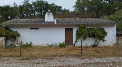 Terrain à Galveias de 100 750 m²