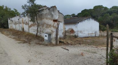 Land in Galveias of 100,750 m²