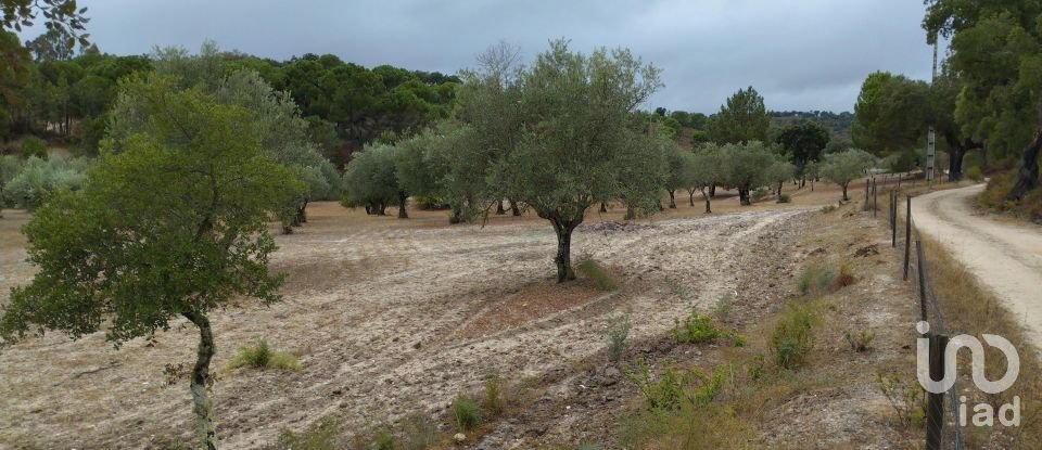 Terrain à Galveias de 100 750 m²