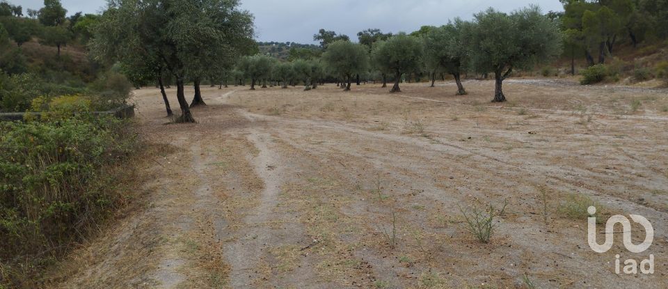 Terrain à Galveias de 100 750 m²