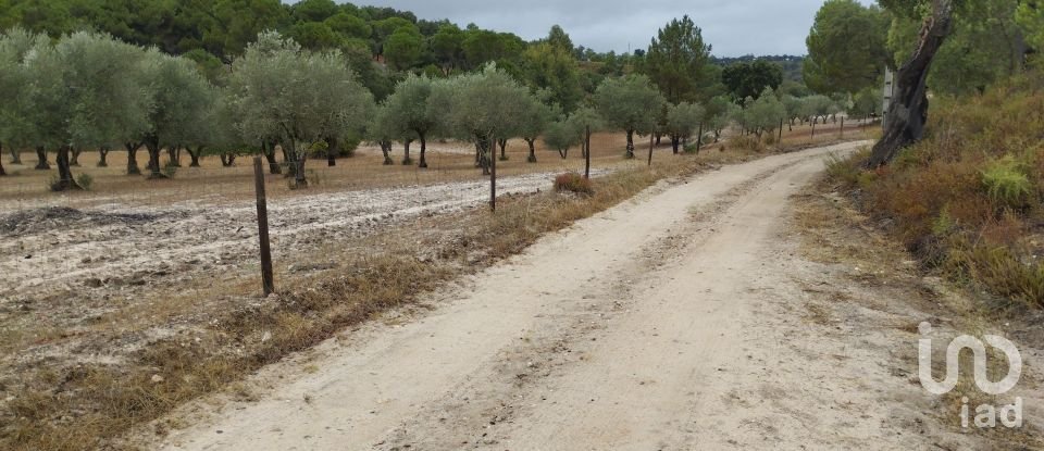 Terrain à Galveias de 100 750 m²