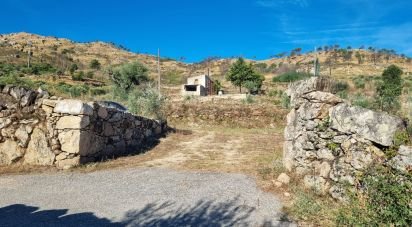 Farm T1 in Aldeia Viçosa of 5,999 m²