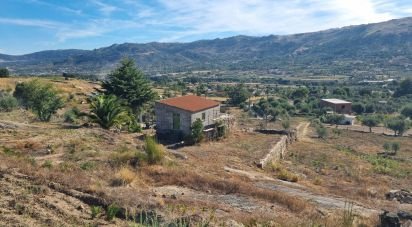 Farm T1 in Aldeia Viçosa of 5,999 m²