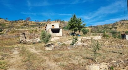 Farm T1 in Aldeia Viçosa of 5,999 m²