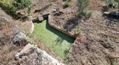 Farm T1 in Aldeia Viçosa of 5,999 m²