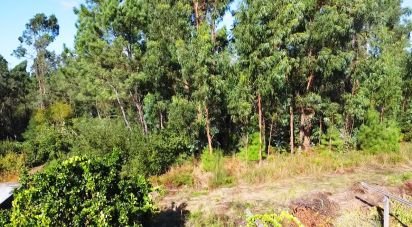 Building land in Forjães of 2,351 m²