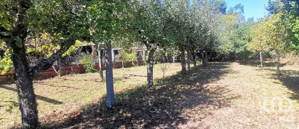 Terreno para construção em Forjães de 2 351 m²