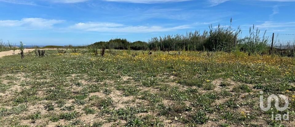 Land in Ferrel of 2,740 m²