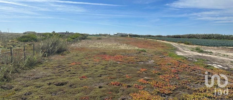 Land in Ferrel of 2,740 m²