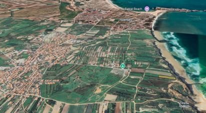 Land in Ferrel of 2,740 m²