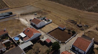 Terrain à São Manços e São Vicente do Pigeiro de 274 m²