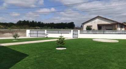 Mansion T3 in Bustos, Troviscal e Mamarrosa of 240 m²