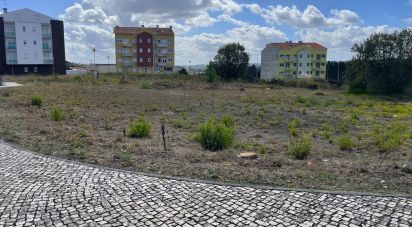 Terrain à Oliveira do Bairro de 360 m²