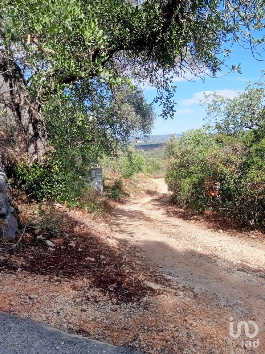 Building land in Loulé (São Sebastião) of 10,480 m²