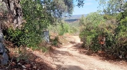 Terreno para construção em Loulé (São Sebastião) de 10 480 m²