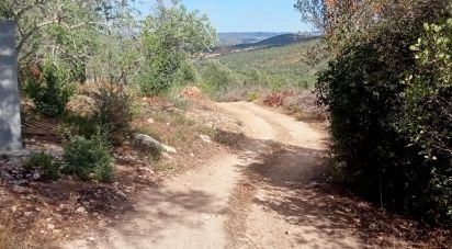 Terrain à bâtir à Loulé (São Sebastião) de 10 480 m²