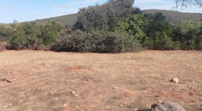 Terreno para construção em Loulé (São Sebastião) de 10 480 m²