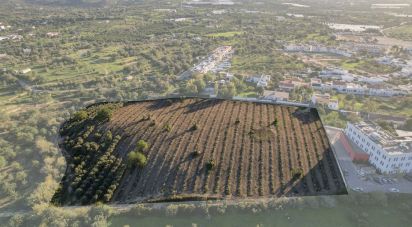 Building land in Conceição e Estoi of 22,000 m²