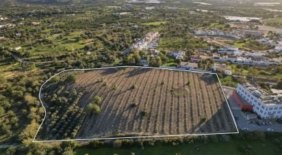 Building land in Conceição e Estoi of 22,000 m²