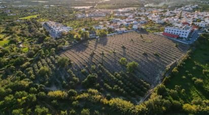 Building land in Conceição e Estoi of 22,000 m²