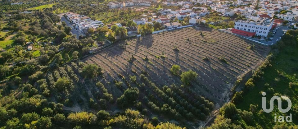 Terreno para construção em Conceição e Estoi de 22 000 m²