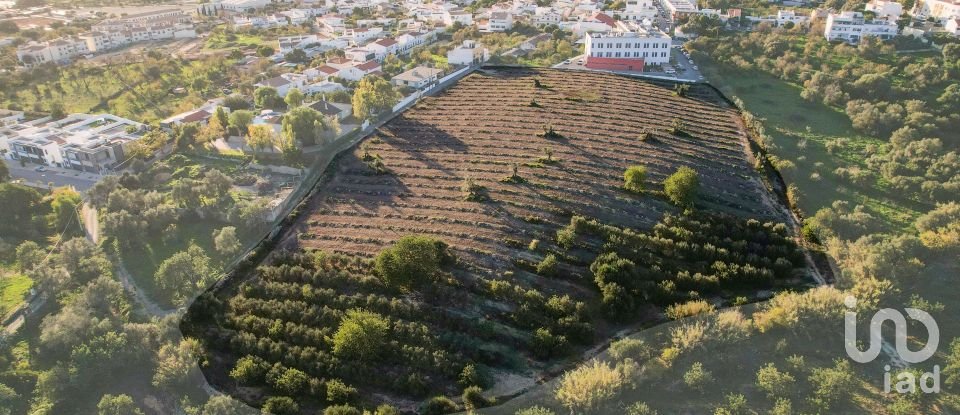 Terreno para construção em Conceição e Estoi de 22 000 m²