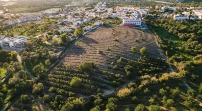 Building land in Conceição e Estoi of 22,000 m²